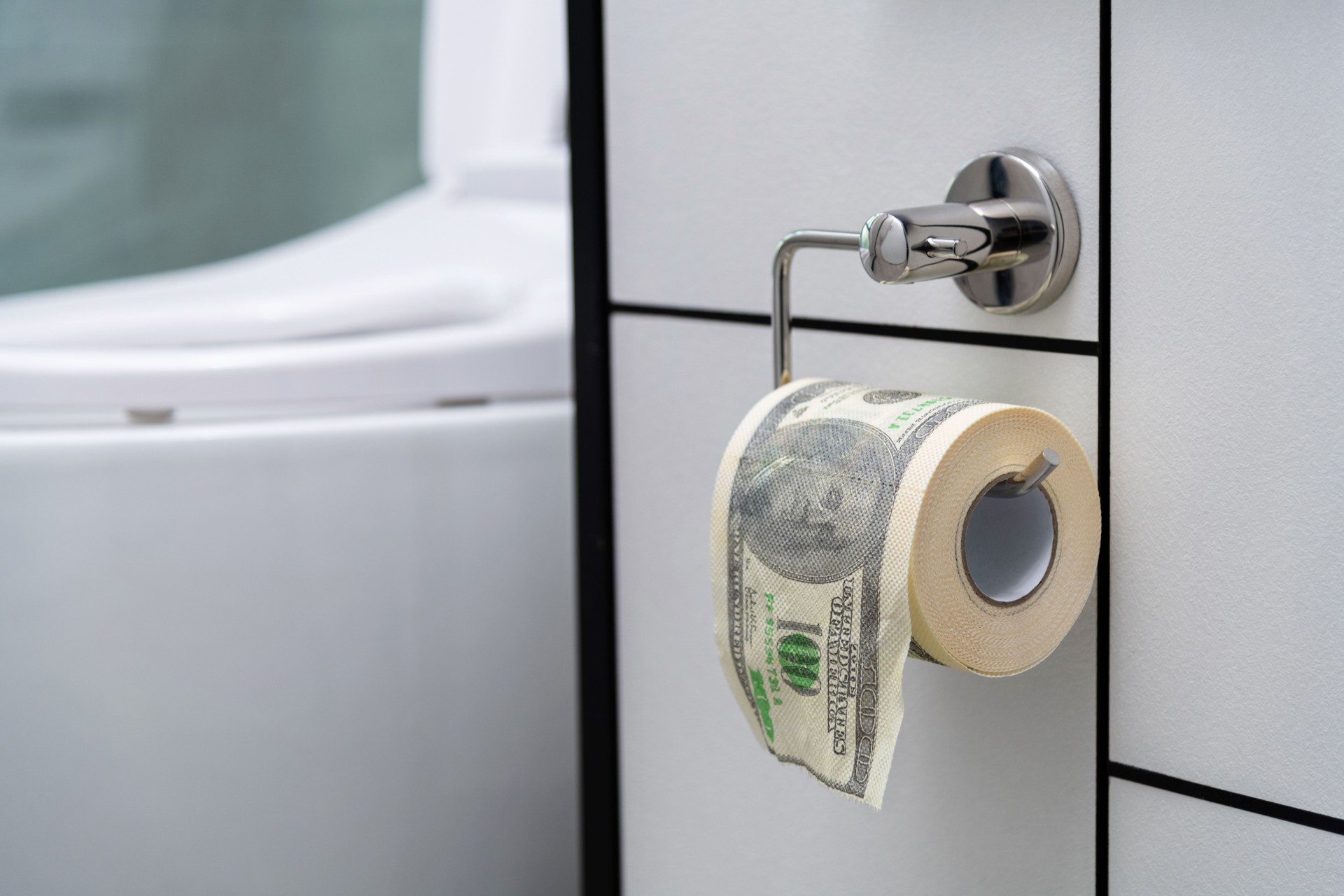 American one hundred dollar pattern on the toilet paper