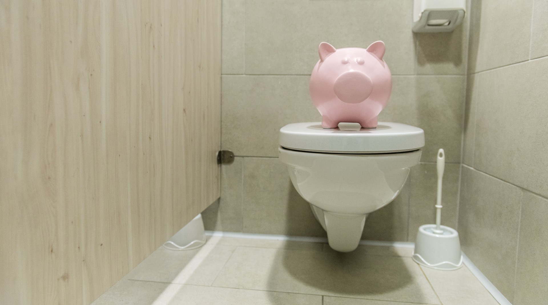 Piggy Bank in the Toilet